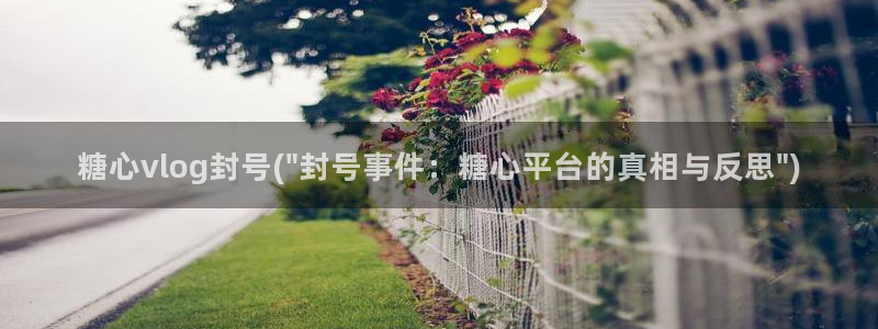 糖心vlog博客版：糖心vlog封号(\