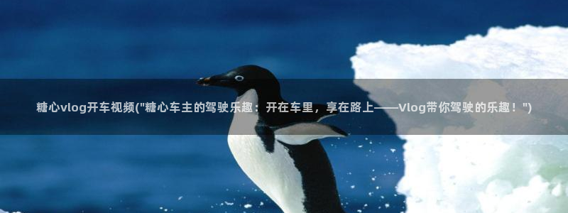 糖心vlog推荐码:糖心vlog开车视频(\