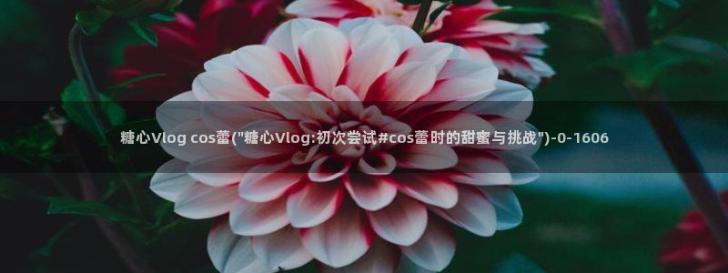 糖心vlog喵：糖心Vlog cos蕾(\