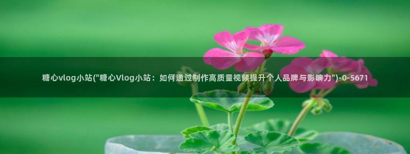 糖心vlog原创up：糖心vlog小站(