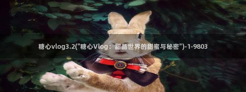 糖心vlog幸福宝