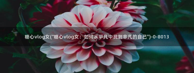 糖心vlog小桃酱下载：糖心vlog女(