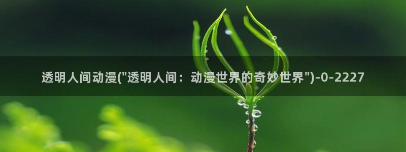布米米动漫