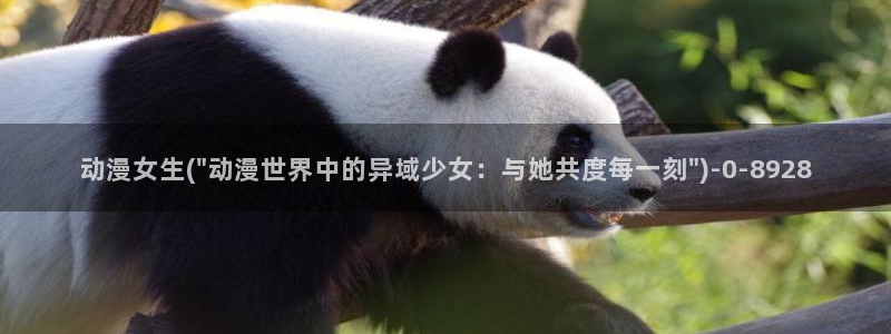 哔哩哔哩动漫
