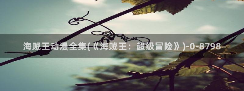 日本动漫艳母：海贼王动漫全集(《海贼王：超级冒险》)