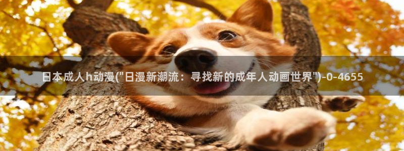 动漫培训